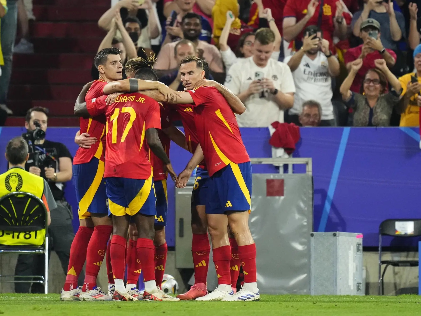 葡萄是攀缘茎还是缠绕茎